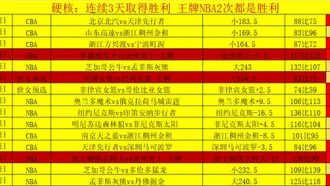 澳網：施安迪动作引争议，体育精神受质疑，对手Ace球反击立显反击力